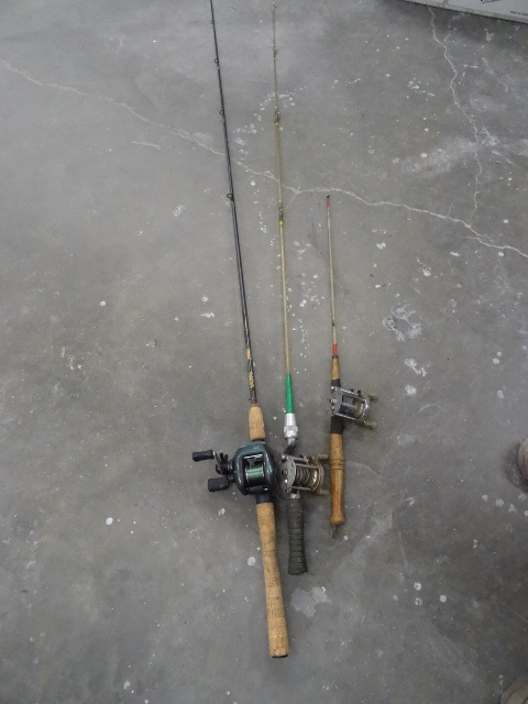 3 Fishing Reeds with Rods