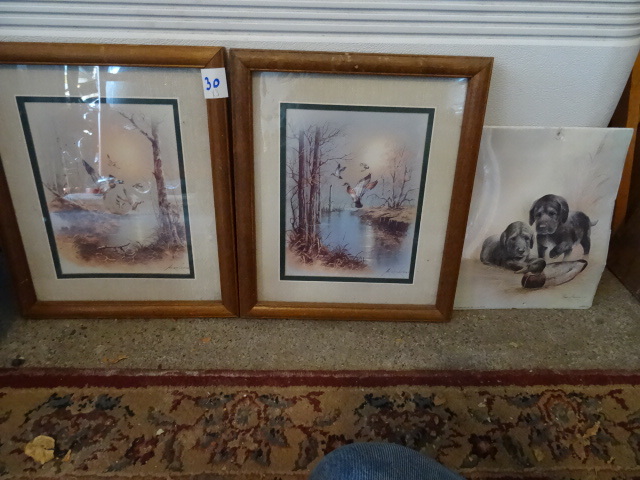 2 Framed Duck Prints.