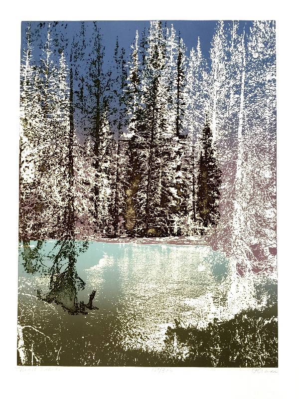lot 1 image: Ultra Rare Collection Piece from Paula Crane Titled Night Vision