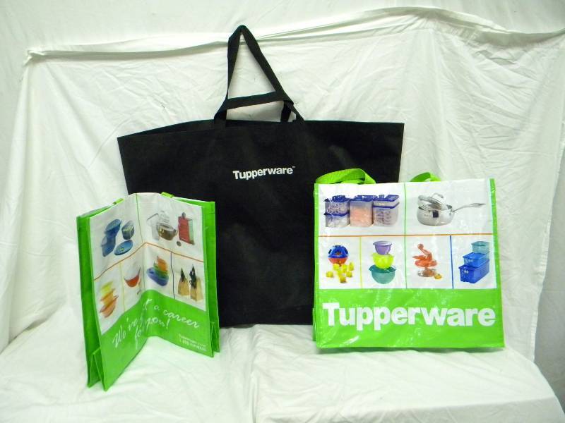 lot 353 image: Tupperware Rep Travel Bag Lot
