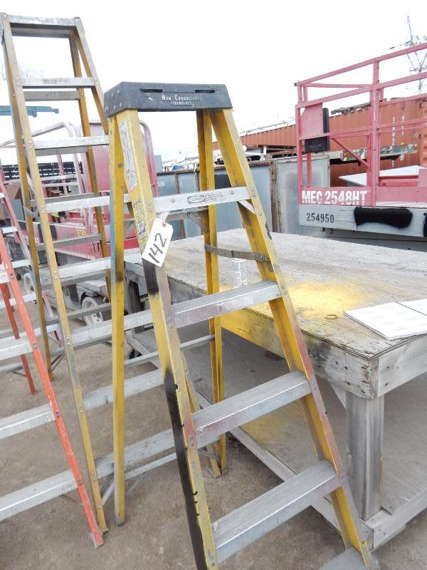 WERNER  Model 6256 6 ft Fiber Glass Step ladder