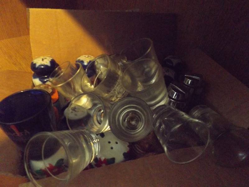 Salt and Pepper Shakers and Shot Glasses
