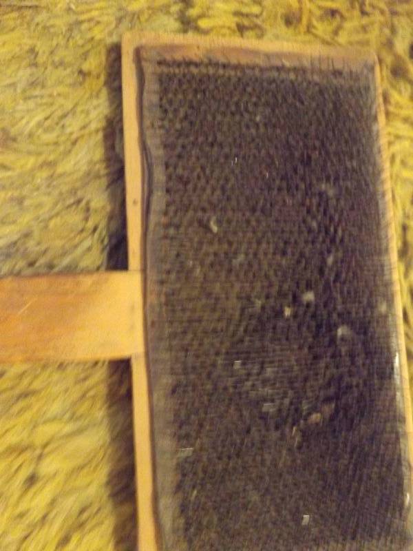 2 Vintage Carders, one marked