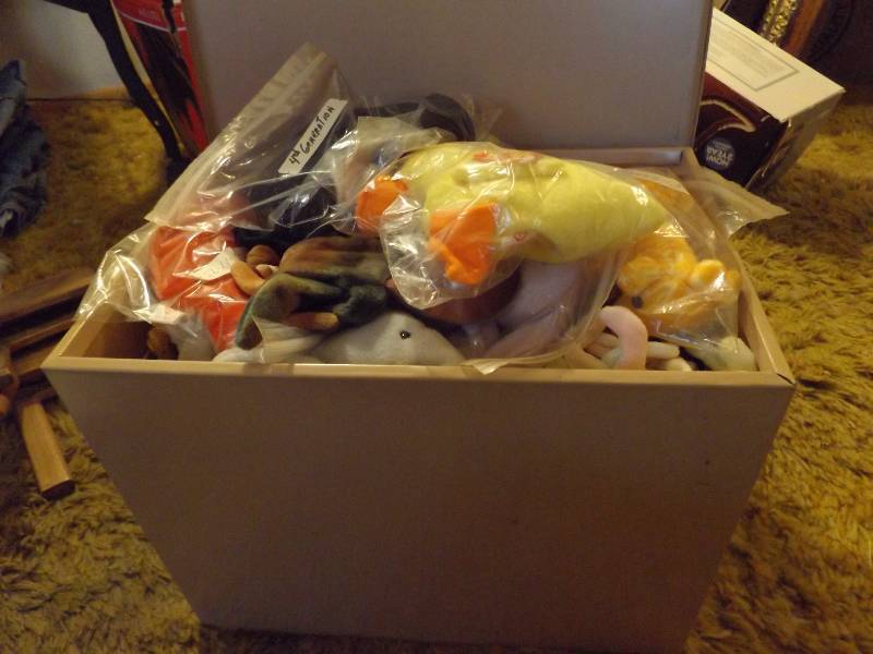 Many TY Beanie Babies in Container