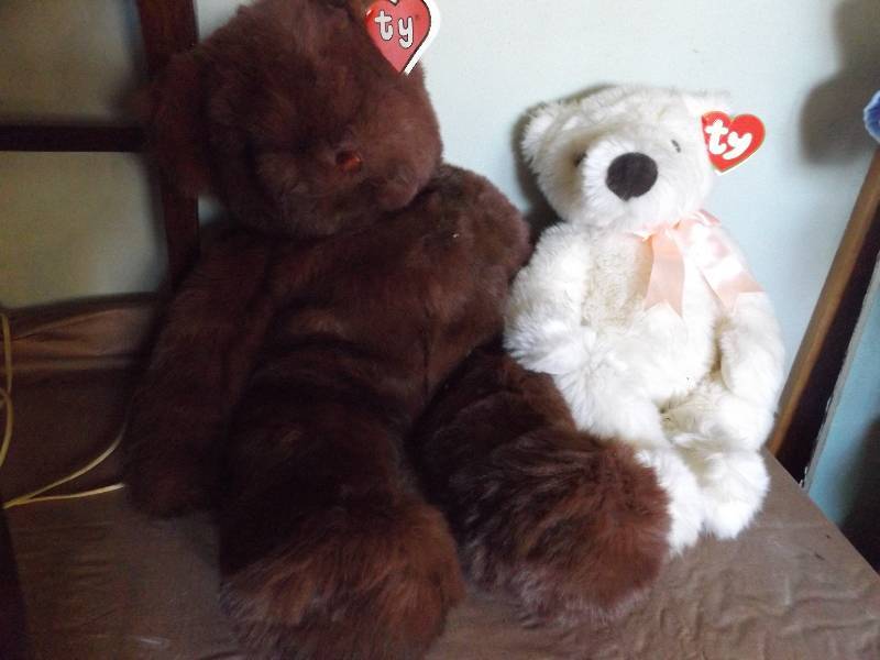 2 Large Ty Bears
