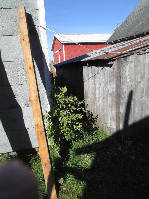 Pine log, 2 flat cut sides that are...