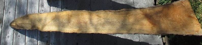 Ash wood slab, 108 long, 21 at th...