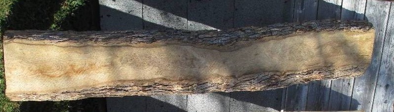 Ash wood slab, 103 long, 17 wide,...