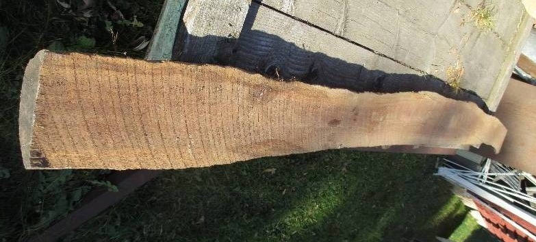 Black Walnut wood slab, 124 long, ...