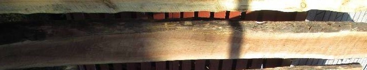 Black walnut wood slab, 124 long, ...