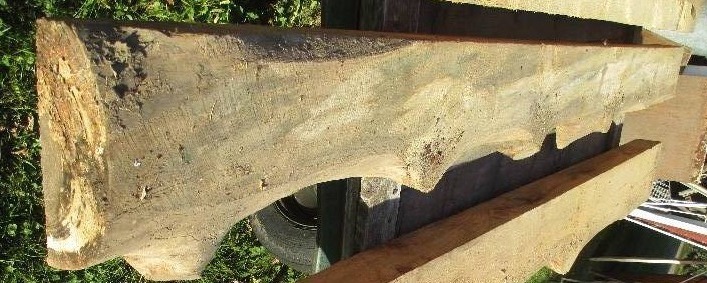 Pine wood slab, 147 long, 11 wide...