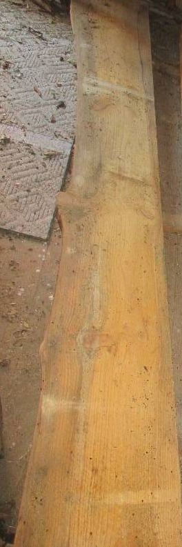Pine wood slab, 142 long, 16 - 20...