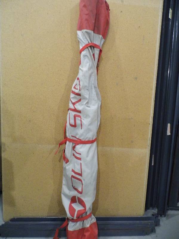 Skis in Bag w Poles