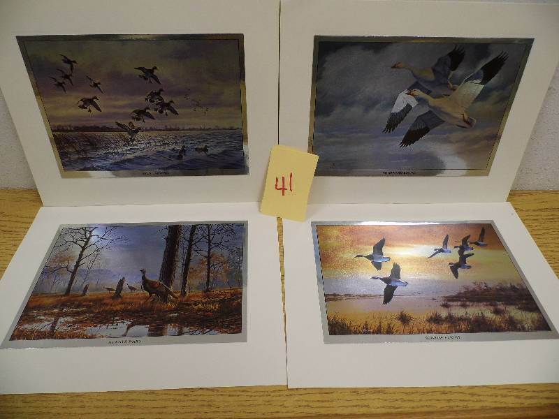 Wildlife Prints