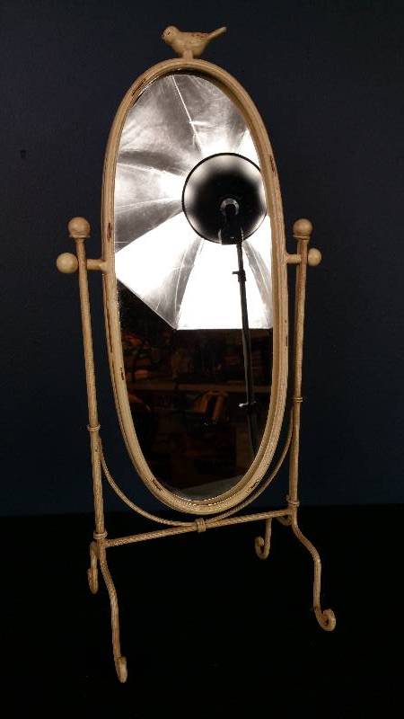 lot 47 image: Distressed Country White Metal Bird Mirror