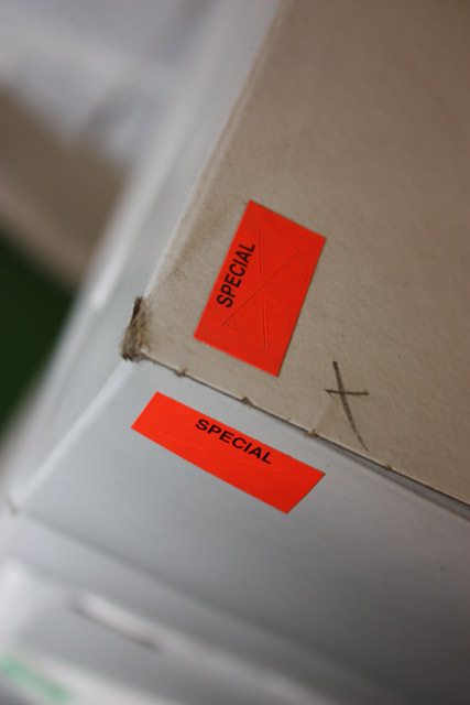 Pricing Labels