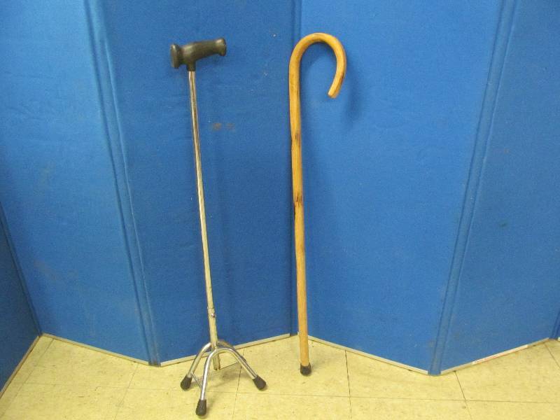Cane