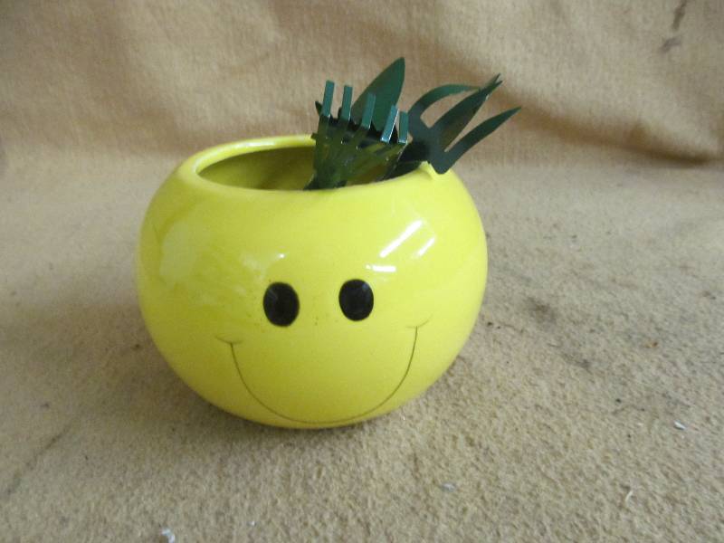 Flower Pot