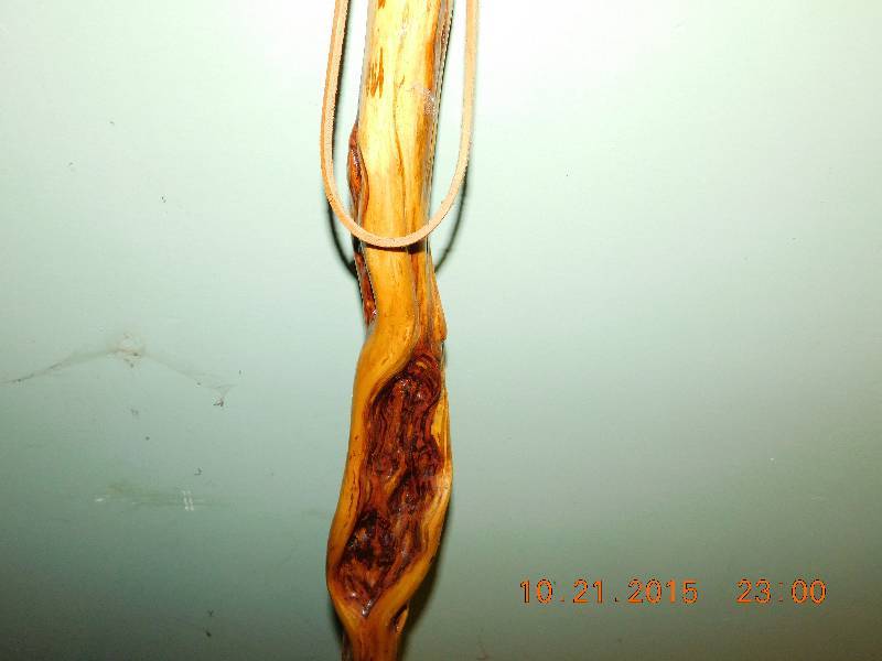 Walking Stick