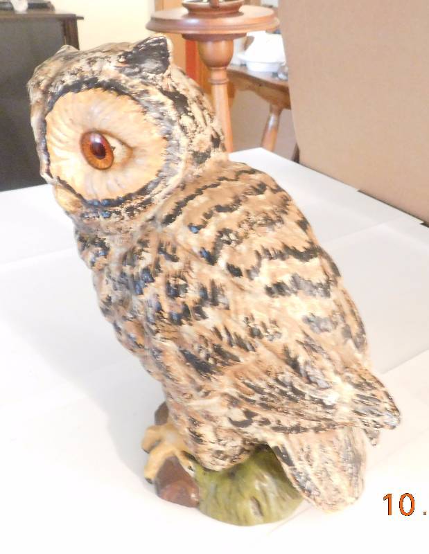 owl