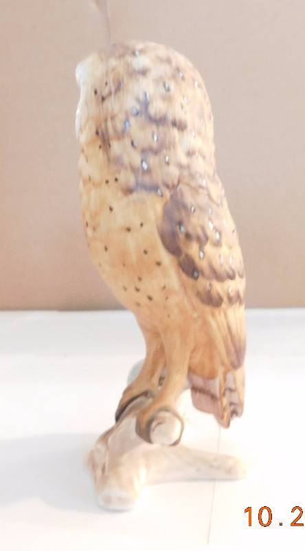 owl