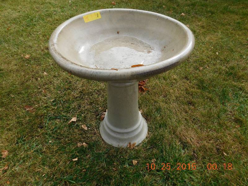 bird bath