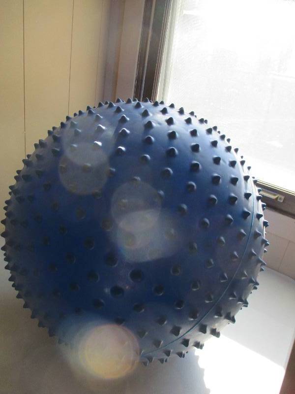Exercize ball in great condition...