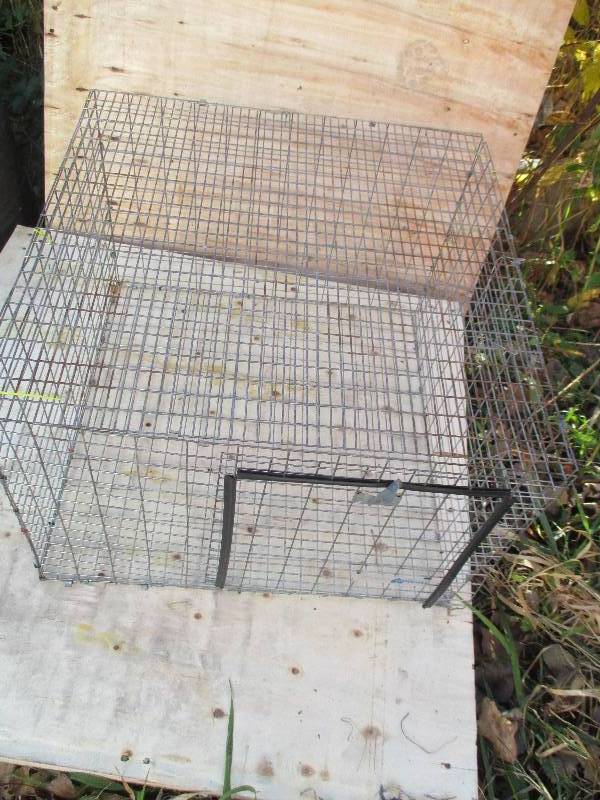 lot 27 image: metal animal cage 24 x 24 17 ta...