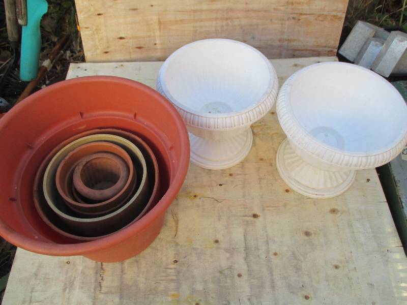 lot 43 image: lot of terra cotta and plastic plan...