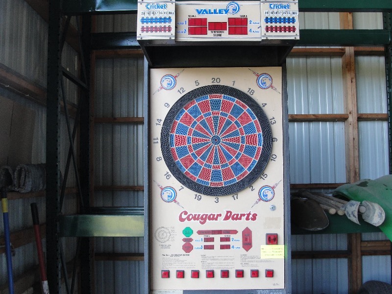 Valley Company Regulation Dart Board