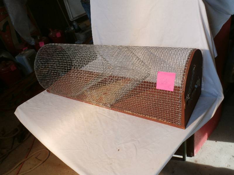 Live sparrow trap