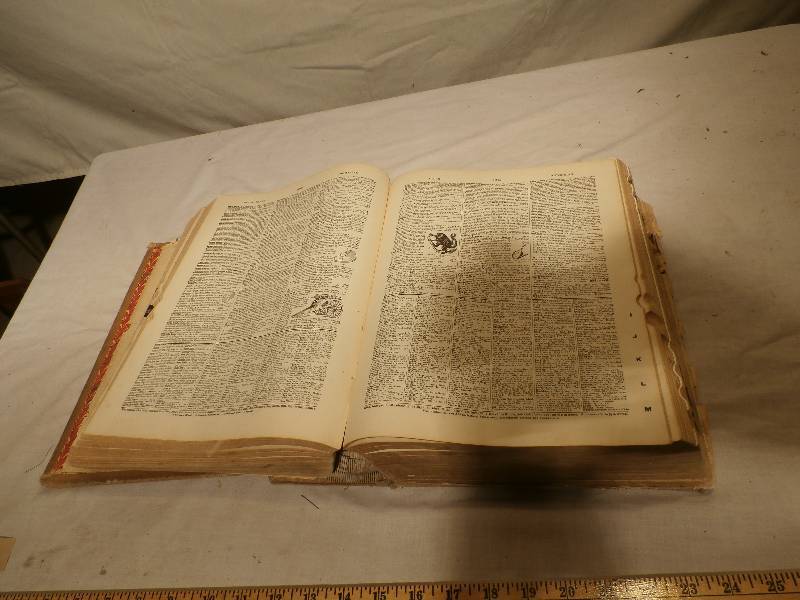 Websters Dictionary.
