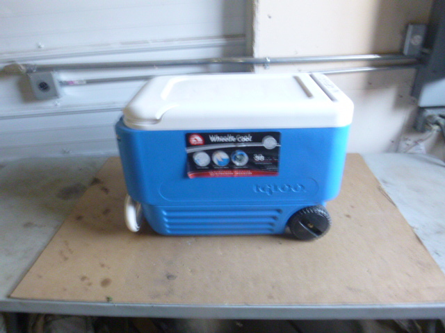 Igloo Cooler