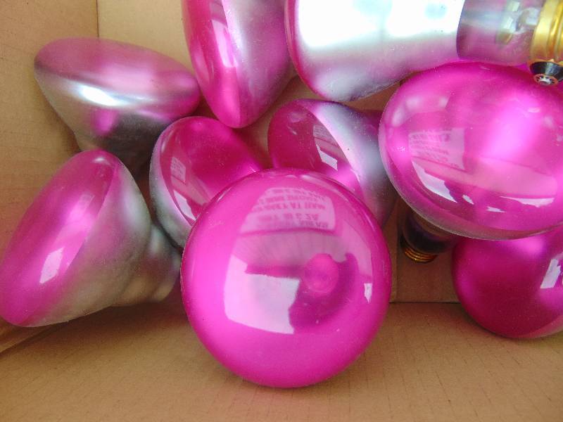 lot 10 image: Lot of 65W Light Bulbs