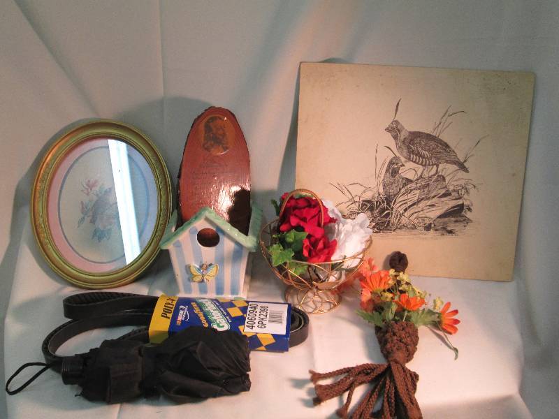 umbrella,painting,x2blu-jay frames,...