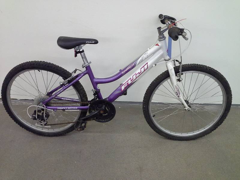 Fuji Bicycle