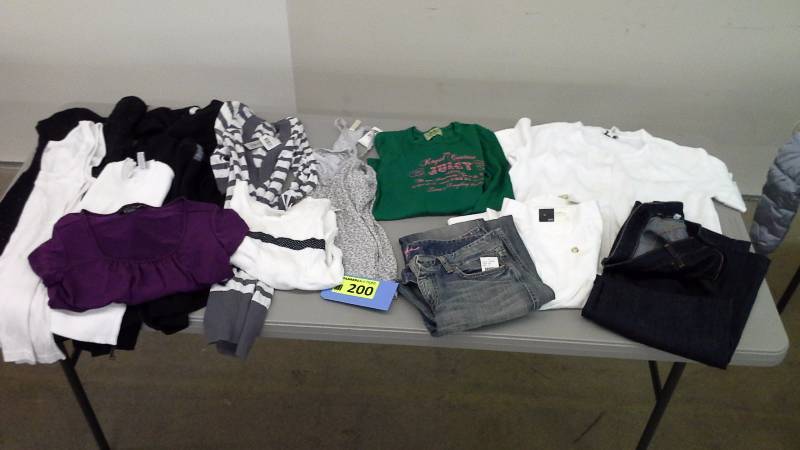 Womens Clothing Lot