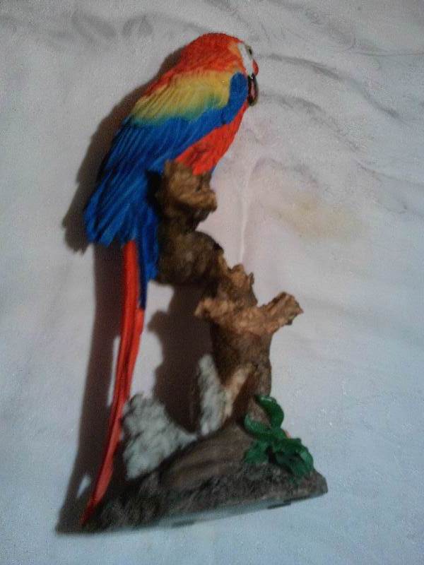 parrot statue