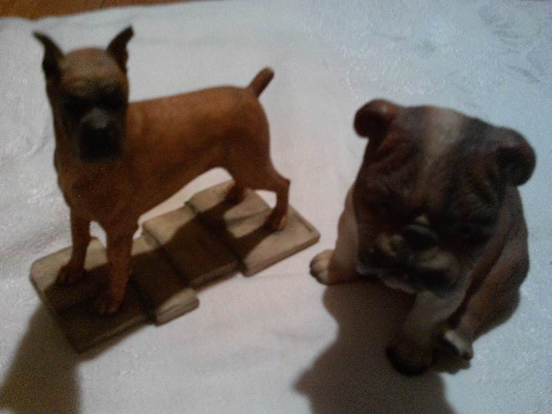 1 vintage pug and one boxer