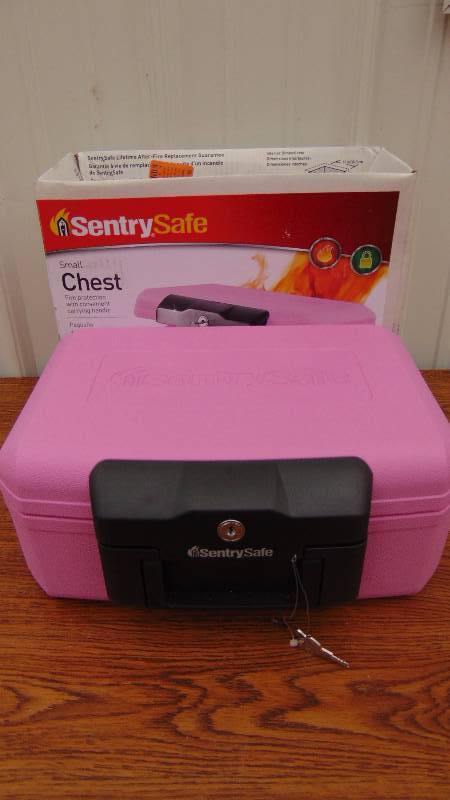 Sentry Safe