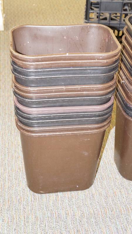Lot of 12 Waste Baskets