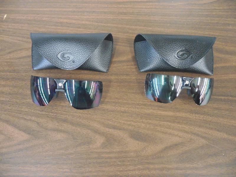 2 GARGOYLE SUNGLASSES WITH CASE