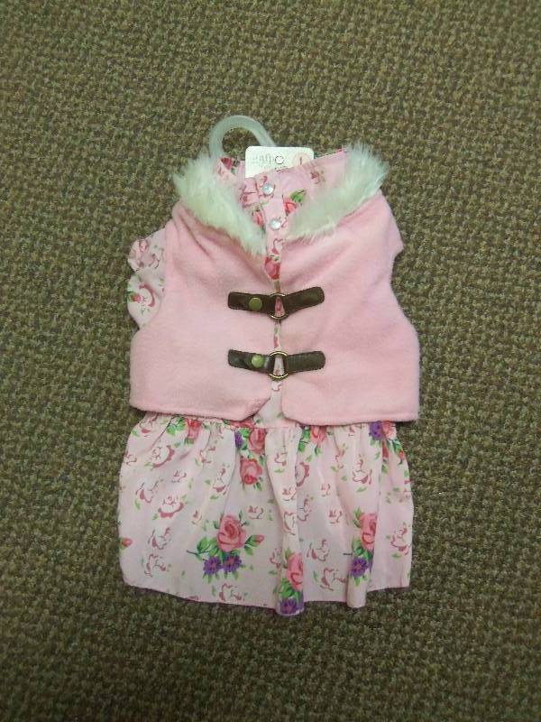 Dog Dress and Jacket