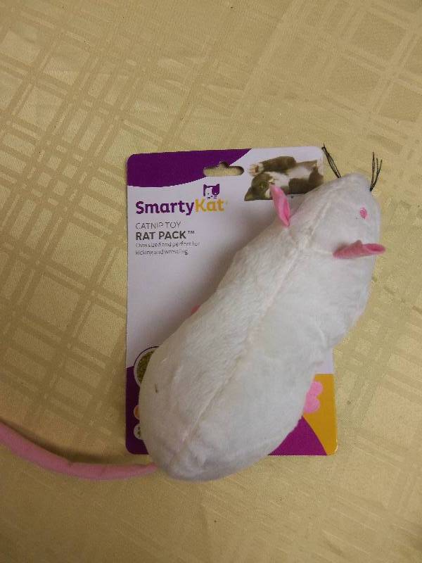 Cat Toy
