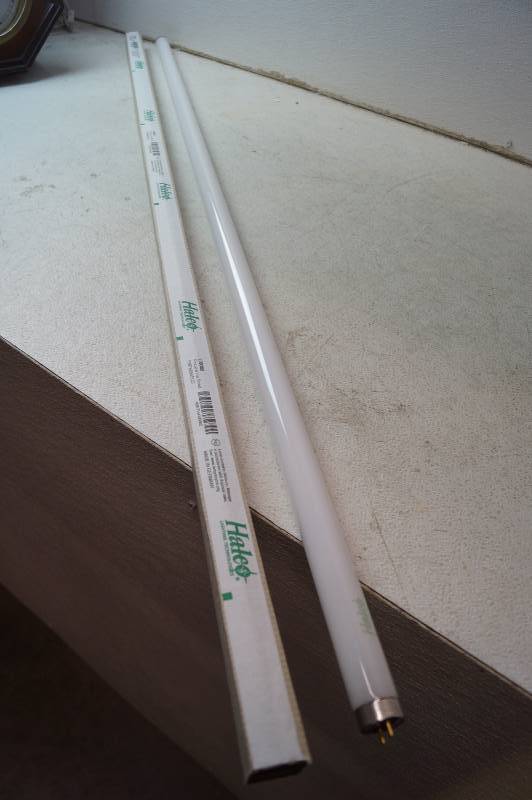 Bulk Lot Florescent Lights