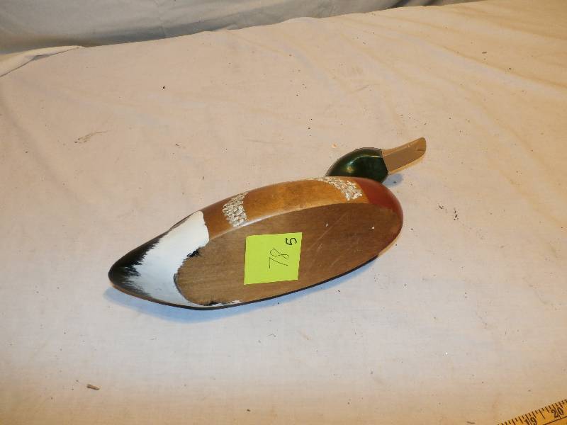 Mallard wood duck