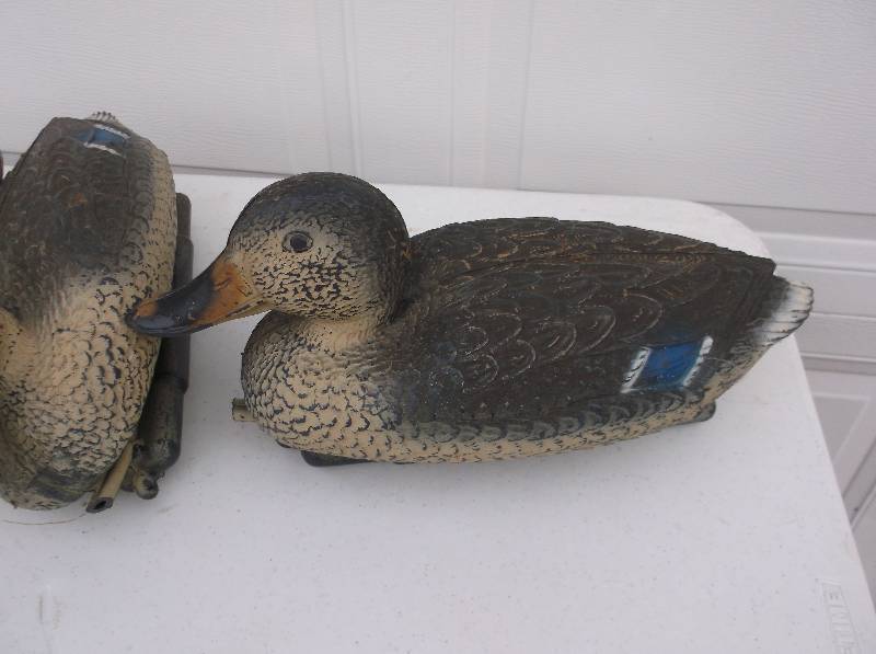 Decoys