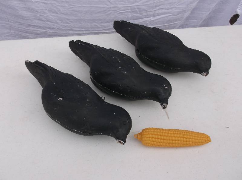 Decoys
