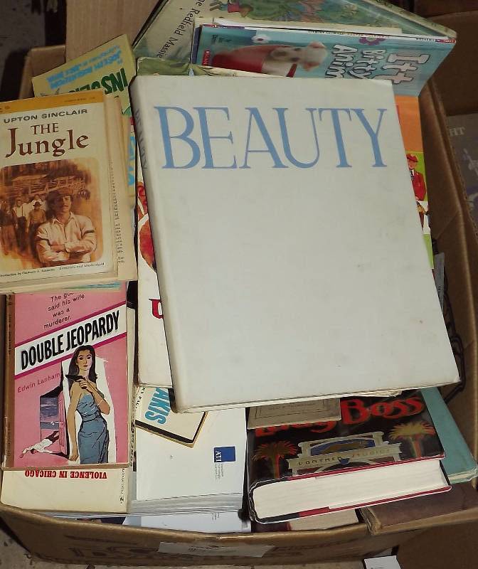 lot 88 image: BIG Box of Books, Children, Paperbacks, Art & More