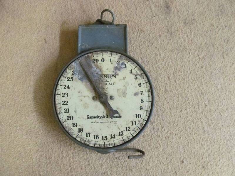 Scale